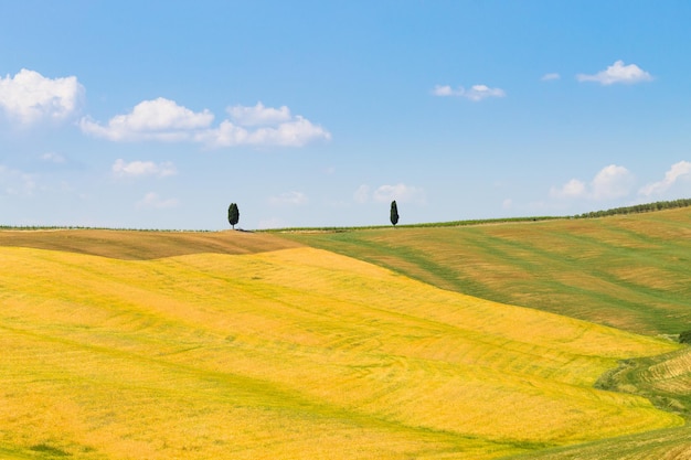 Paysage de collines de Toscane, Italie. Panorama rural italien.