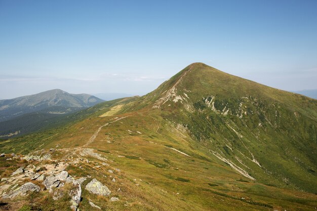 Paysage de collines verdoyantes dans les montagnes d'été