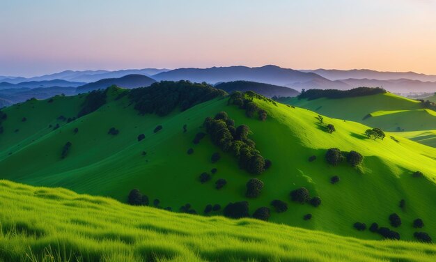 Le paysage des collines vertes est très beau