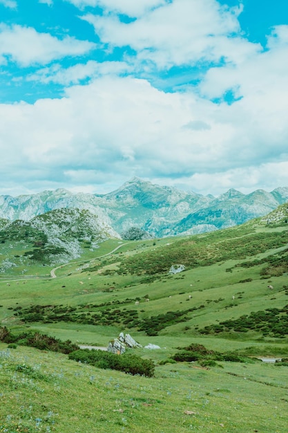 Paysage coloré des montagnes des Asturies pendant une journée ensoleillée, lacs de Covadonga, scénario paisible, montagnes enneigées, espace pour copie