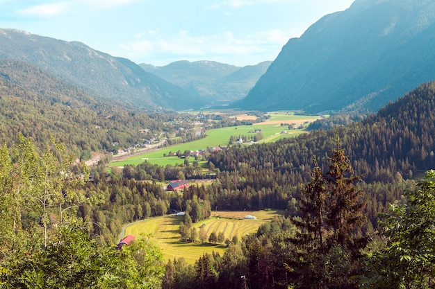 Paysage composé d'une montagne de Norvège avec sapins et vallée herbeuse verte et ciel bleu