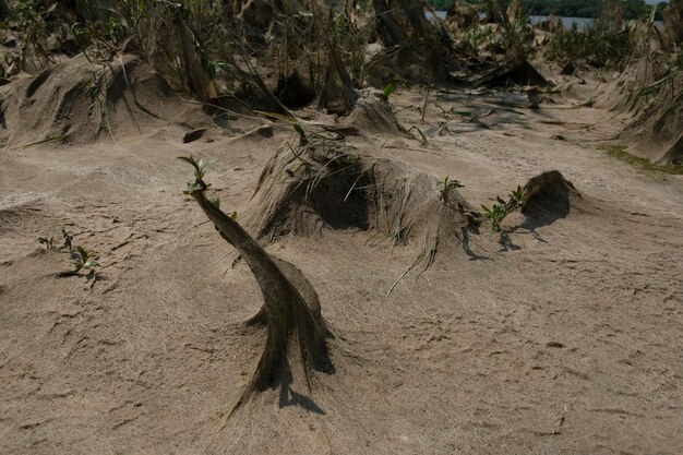 paysage cosmique de boue résultant après la marée basse du niveau de l'eau