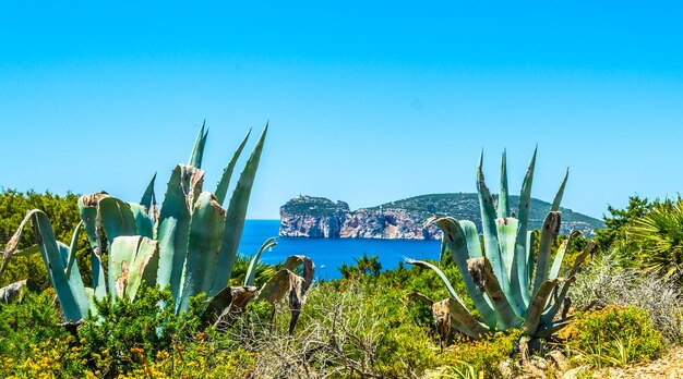 Paysage de la côte de Capo Caccia en Sardaigne