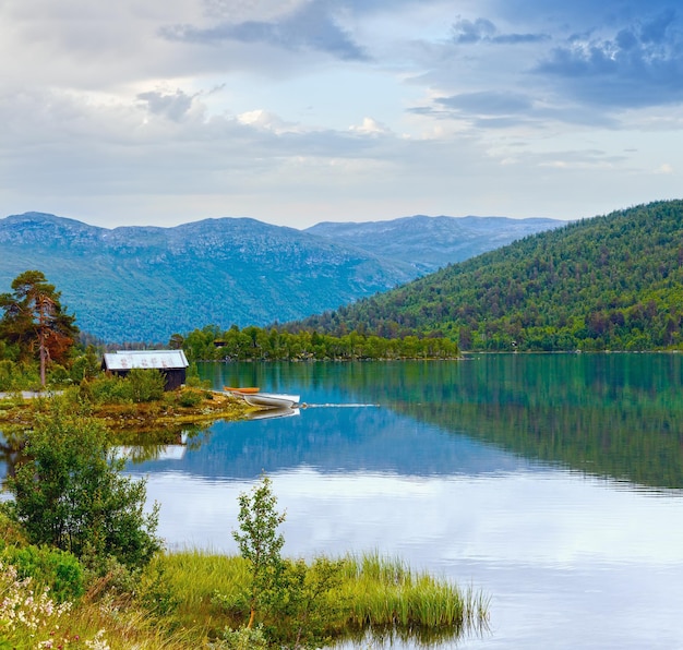 Paysage de côte de fjord d'été Norvège