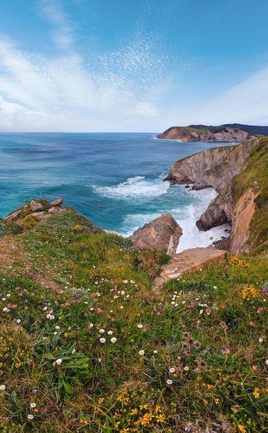 Paysage de côte de l'océan en fleurs d'été près de la ville de Gorliz Baie de Gascogne Espagne