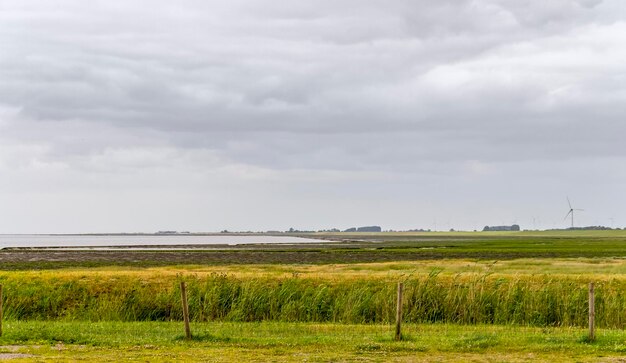 paysage côtier de la Frise orientale