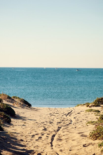 Paysage côtier avec plage mince et mer bleue