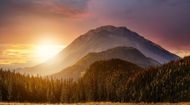 Paysage de coucher de soleil avec de hauts sommets et une vallée brumeuse avec une forêt d'épinettes d'automne