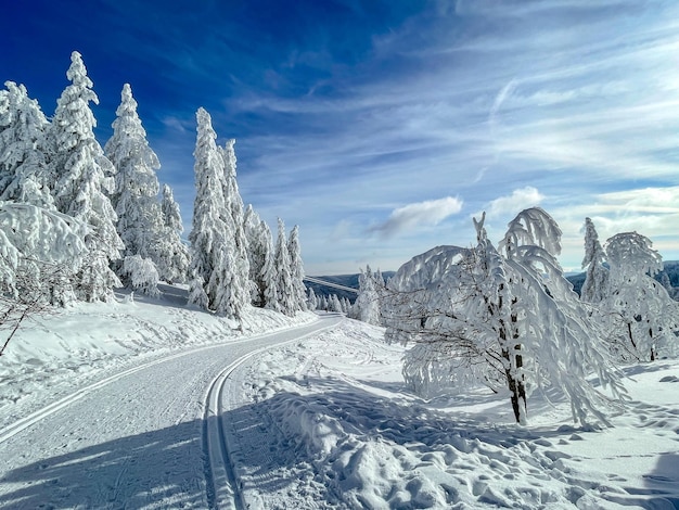 Photo paysage couvert de neige contre le ciel