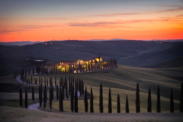 Paysage avec des cyprès en Toscane - Italie xii