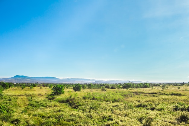 Photo paysage dans la journée avec la lumière du soleil en été.