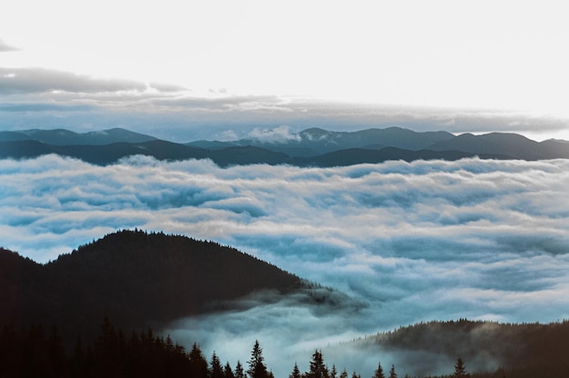 paysage dans les montagnes au lever du soleil pic furtivement au-dessus des nuages brouillard modèle affiche carte postale