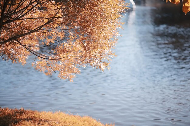 paysage dans le parc d'automne / concept nature paysage saisonnier saison, automne, forêt, arbres été indien