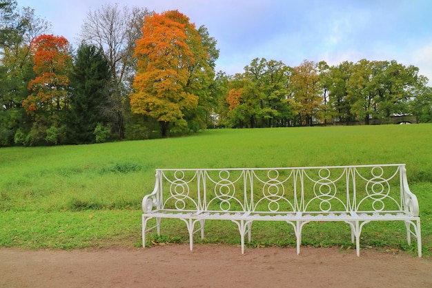 Paysage dans le parc avec un long banc blanc