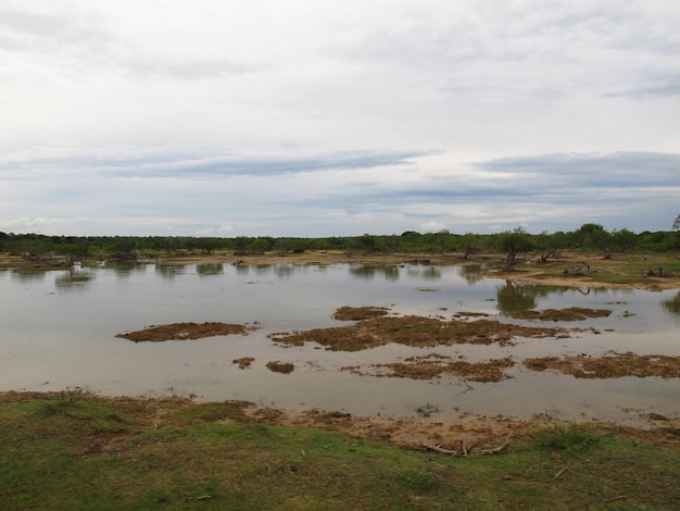 Le paysage dans le parc national de Yala, Sri Lanka