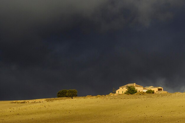 Paysage de la dehesa céréalière de la sierra orientale de grenade