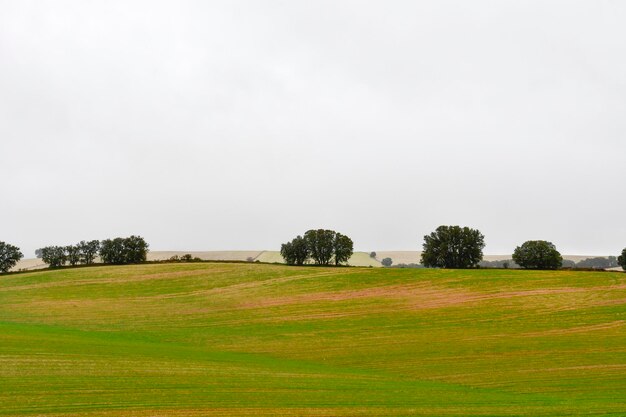 Paysage de la dehesa cerealistica des montagnes orientales de Grenade - Espagne