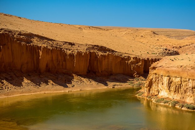 Photo le paysage désertique en arrière-plan