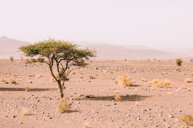 Photo paysage désertique au maroc