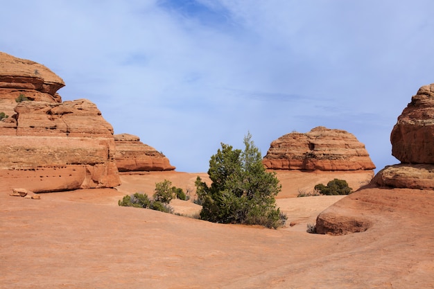 Paysage désertique au printemps, Utah, États-Unis.