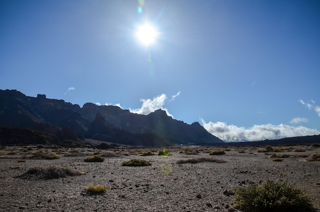 Paysage désertique dans le Parc National du Volcan Teide, Tenerife, Canaries, Espagne