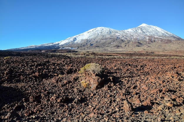 Paysage désertique dans le parc national du volcan Teide