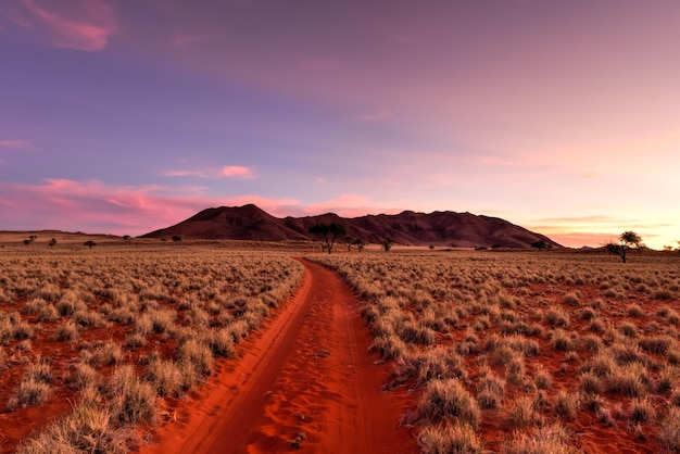 Paysage désertique dans la réserve naturelle de NamibRand en Namibie