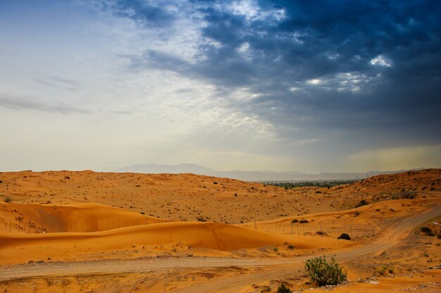 Paysage désertique - dune de sable - fond nature