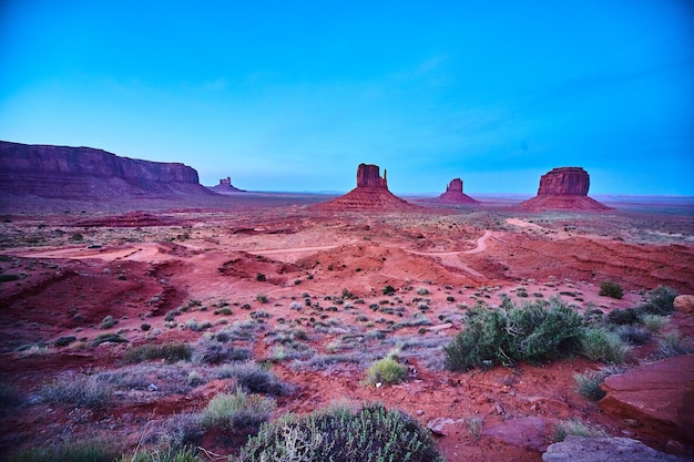 Paysage désertique de grosses roches rouges et de teinte bleue