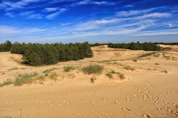 Paysage désertique isolé avec une végétation clairsemée et des nuages blancs