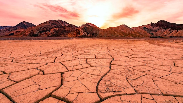 Paysage désertique sans vie