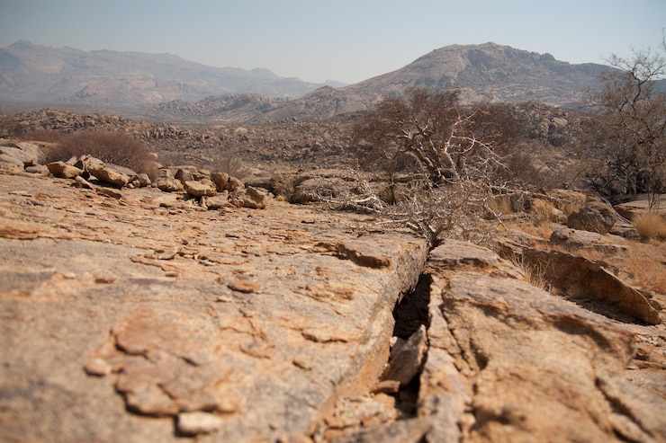 Photo le paysage désertique
