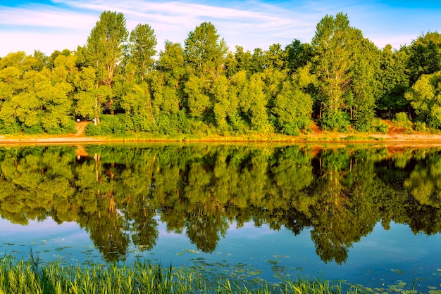 Paysage diurne de la rivière Kotorosl avec des arbres qui s'y reflètent