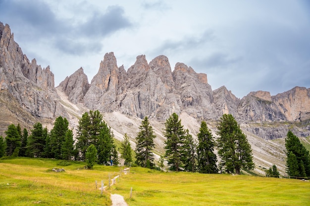 Paysage de Dolomites dans le parc naturel de Puez Odle, vue depuis le plateau alpin avec des prairies vertes, Italie