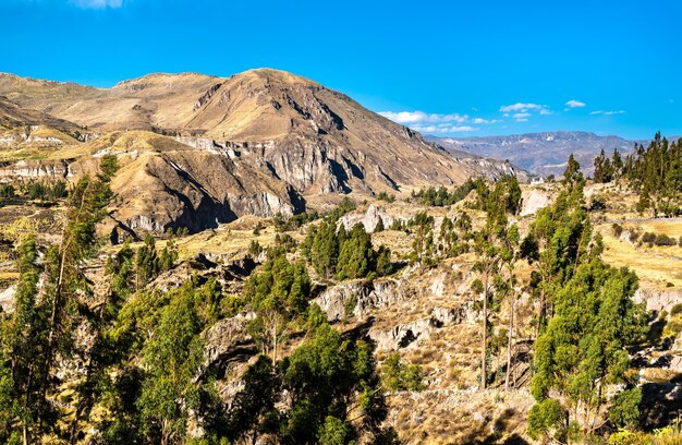 Paysage du Canyon de Colca au Pérou