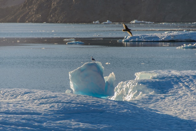 Paysage du Groenland avec de belles roches colorées et iceberg.