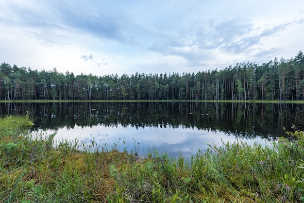 Paysage du lac forestier en Europe