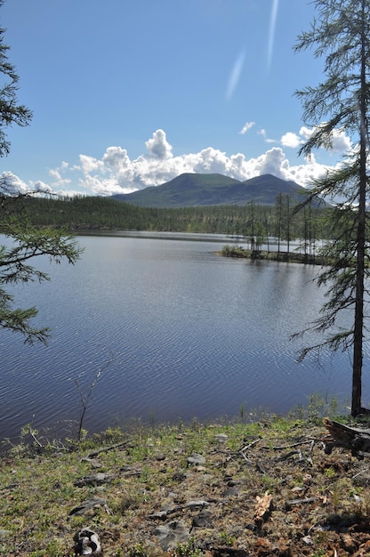 Paysage du lac Journée ensoleillée