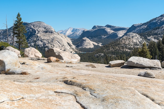 Paysage du lac Tenaya oon Pass Tioga, parc national Yosemite