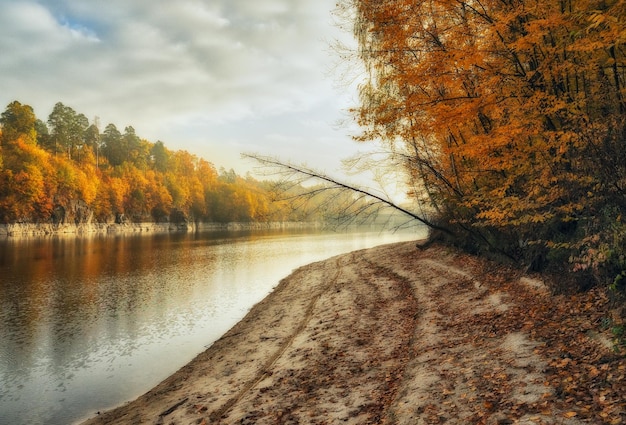 Paysage du matin d'automne