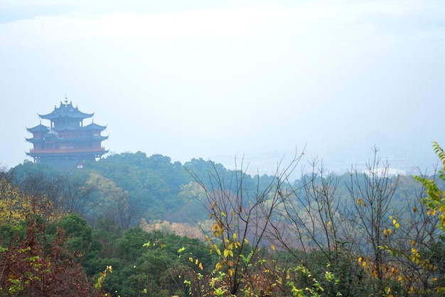 Paysage du matin dans les montagnes. Forêt d'automne et tour chinoise traditionnelle