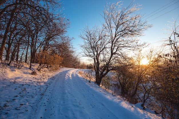 Paysage du matin ensoleillé d'hiver avec une route de campagne.