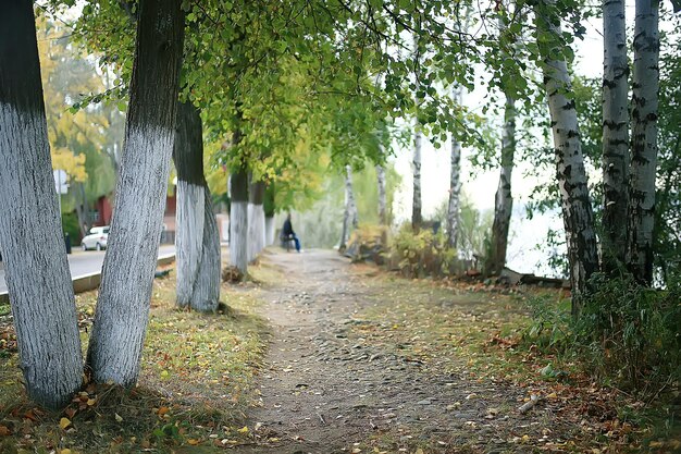 paysage du parc d'été / vue saisonnière, arbres verts en été, promenade nature concept, écologie, éco