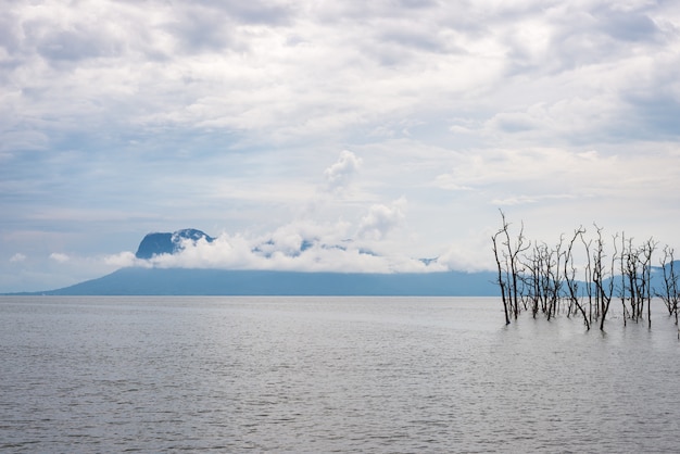 Paysage du parc national de Bako, Bornéo malaisien