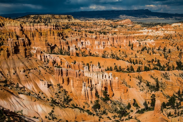 Paysage du parc national de Bryce Canyon