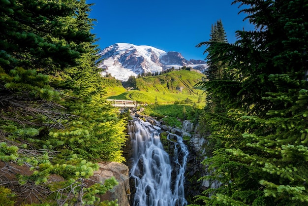 Paysage du parc national du mont Rainier aux États-Unis