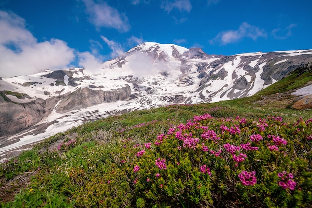 Paysage du parc national du mont Rainier aux États-Unis