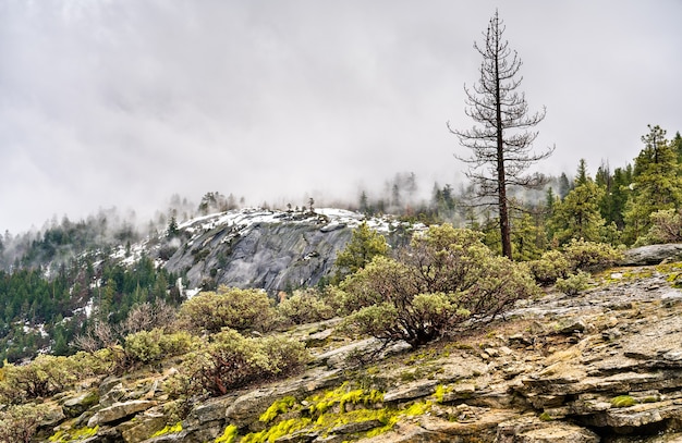 Paysage du parc national de Yosemite en Californie. aux États-Unis