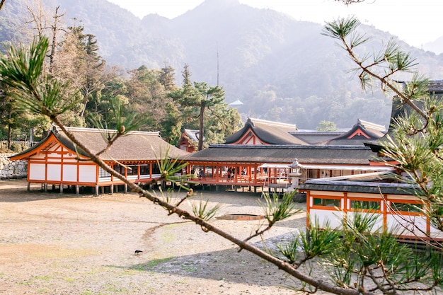 Paysage du sanctuaire d'Itsukushima