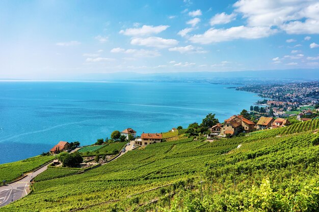 Paysage du sentier de randonnée en terrasse du vignoble de Lavaux, du lac Léman et des montagnes suisses, district de Lavaux-Oron en Suisse